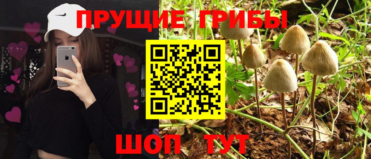 Набережные Челны  Галлюциногенные грибы Cubensis  Вход с VPN 